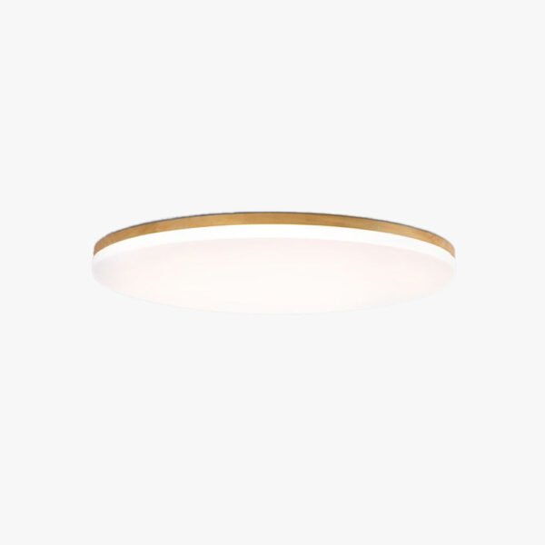 Uniwersalna lampa sufitowa LED o nowoczesnej formie